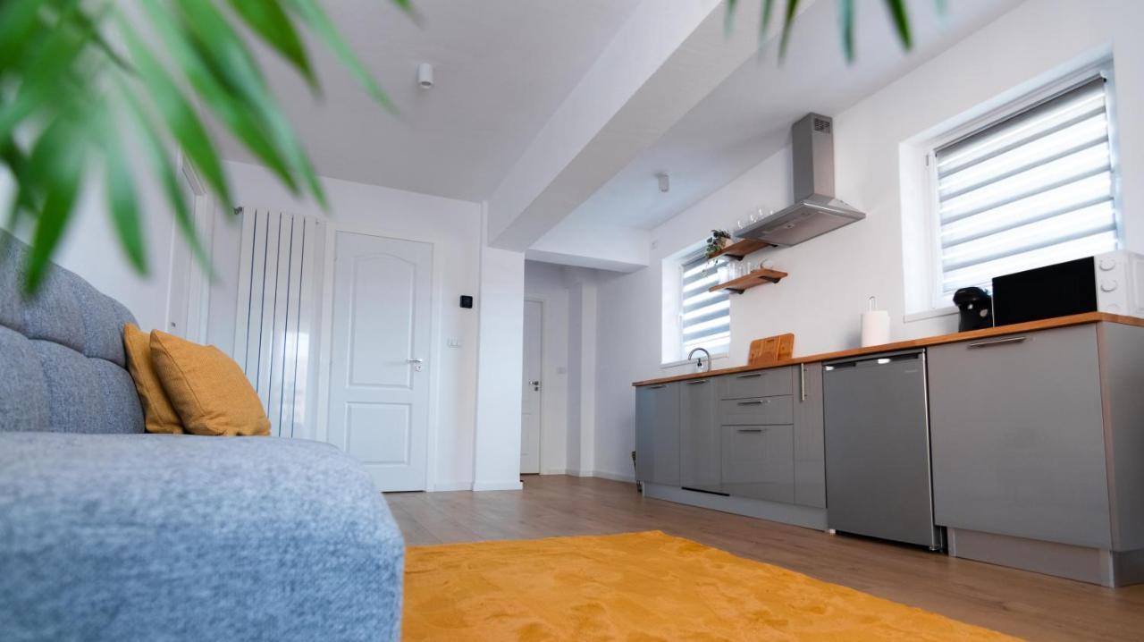 Apartment Urban Six Fagaras