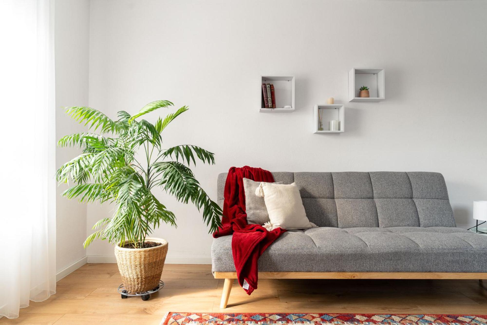 Urban Six Apartment Fagaras